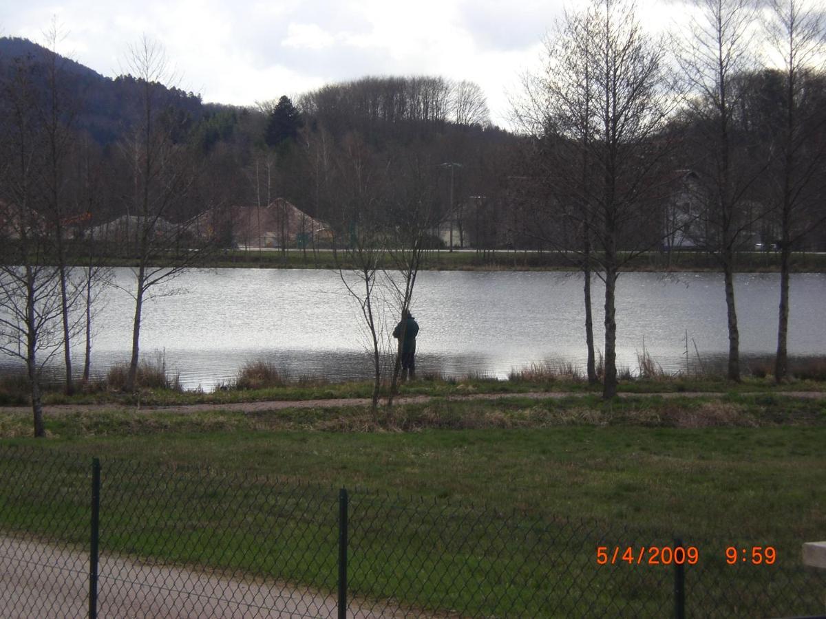 Les Gites De L Etang :Studio A 20 Mn De Gerardmer La Chapelle  Bagian luar foto
