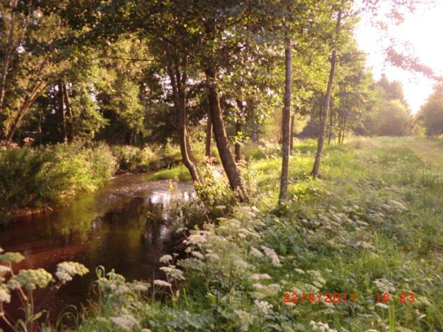 Les Gites De L Etang :Studio A 20 Mn De Gerardmer La Chapelle  Bagian luar foto