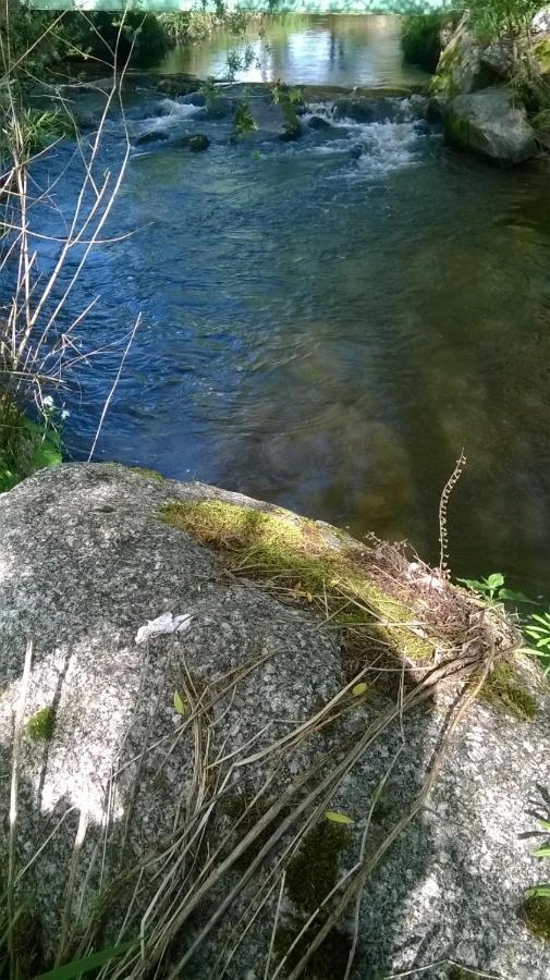 Les Gites De L Etang :Studio A 20 Mn De Gerardmer La Chapelle  Bagian luar foto
