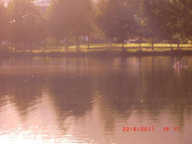 Les Gites De L Etang :Studio A 20 Mn De Gerardmer La Chapelle  Bagian luar foto