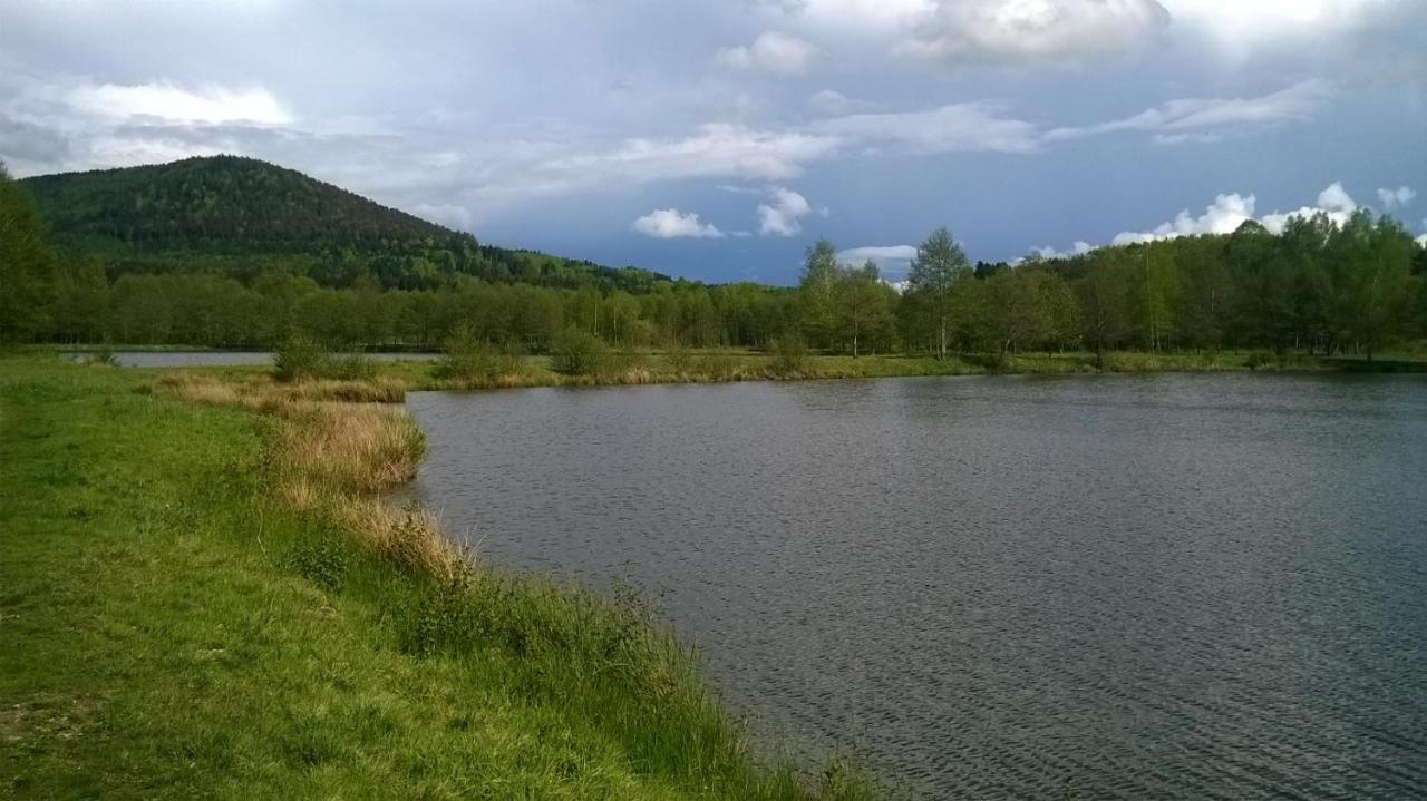 Les Gites De L Etang :Studio A 20 Mn De Gerardmer La Chapelle  Bagian luar foto